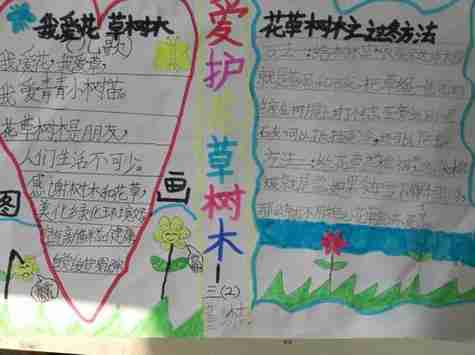 二年级写爱护花草的手抄报二年级手抄报