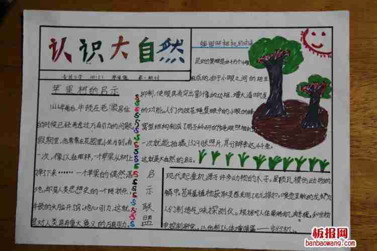 自然有所启示天台小学1504班认识大自然手抄报六年级走进大自然手抄报