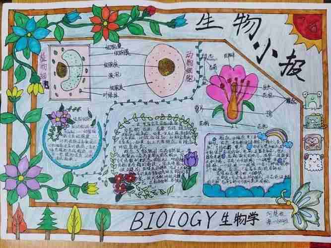 保护生态环境探索生命奥秘初一级学生生物手抄报精选10张