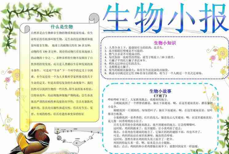 a3生物小报1word文档在线阅读与免费文档