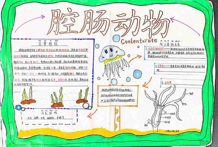 厉害了我们的生物手抄报记铜川市第一中学第三学部生物备课组迎世