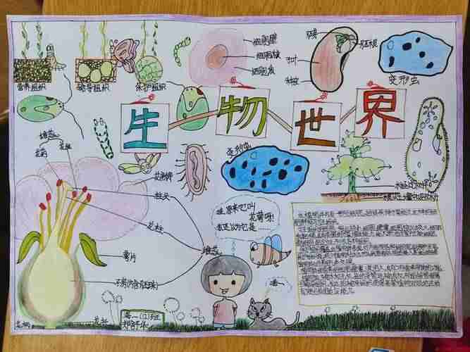 保护生态环境探索生命奥秘初一级学生生物手抄报精选10张