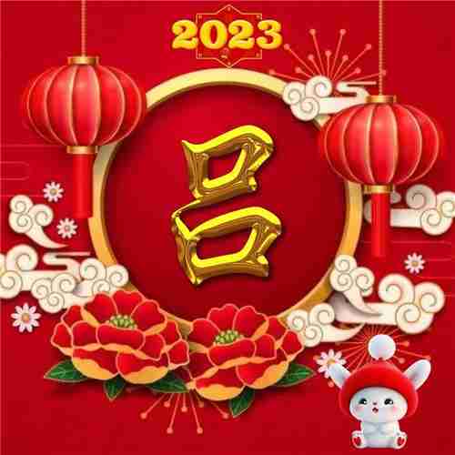 2023最新姓氏头像过年新年好看的兔年2023姓氏头像图片姓氏头像头