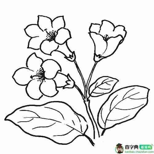 杜鹃花简笔画简笔画查字典板报网