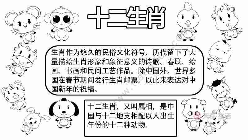 十二生肖手抄报十二生肖手抄报内容图片网