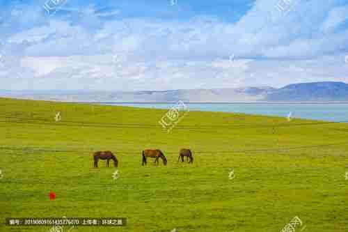 青海湖湖泊池塘自然风景摄影汇图网