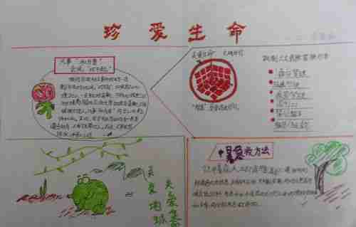 关爱生命安全教育手抄报大全板报网