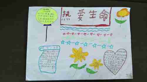 王村学区吴各庄小学四年级以热爱生命为主题的手抄报美篇