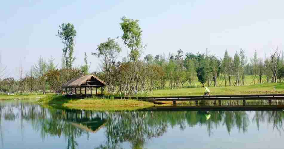 白鹭湾生态湿地公园开放时间