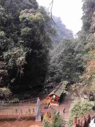 碧峰峡本地人门票多少