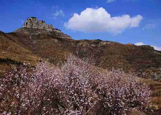 灵丘桃花山旅游攻略