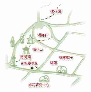 南京梅花山乘车路线攻略