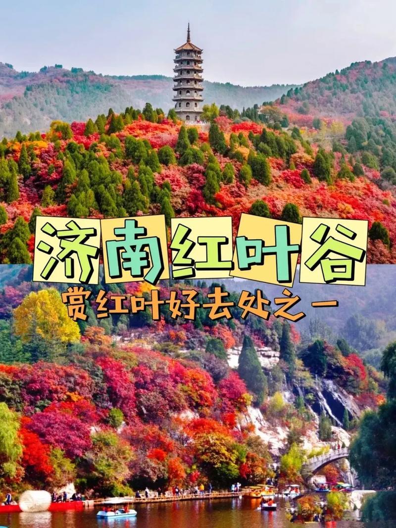 山东红叶景区排行