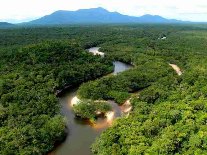 亚马逊热带雨林是一个值得去的地方
