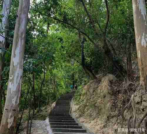 广州南沙爬山必去十大景点