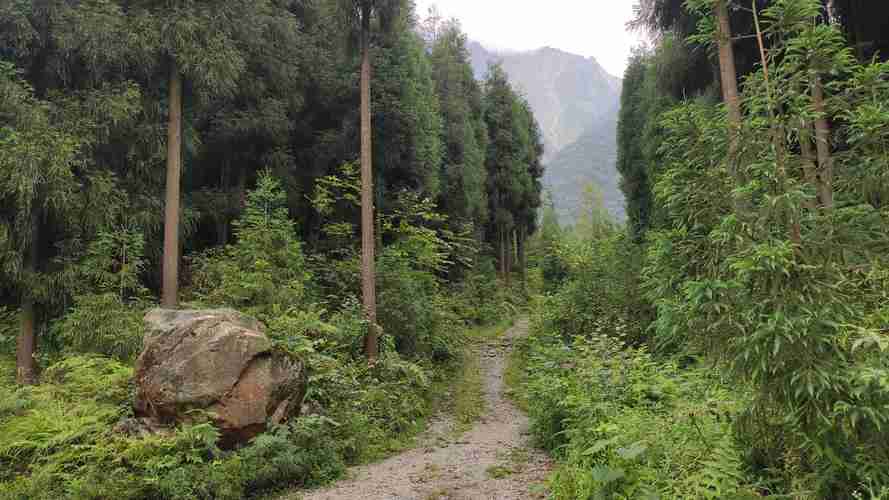 彭州中坝森林公园和九峰山哪里好玩