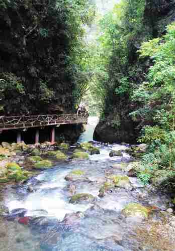 四川巴山大峡谷都哪些景点