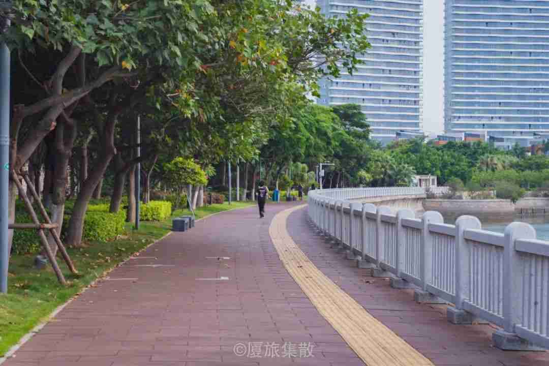 厦门海湾公园西堤东路是单行道吗