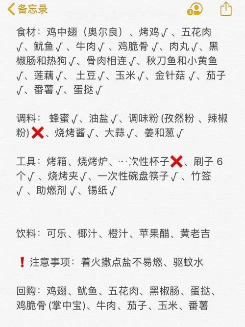 烧烤攻略都要准备什么