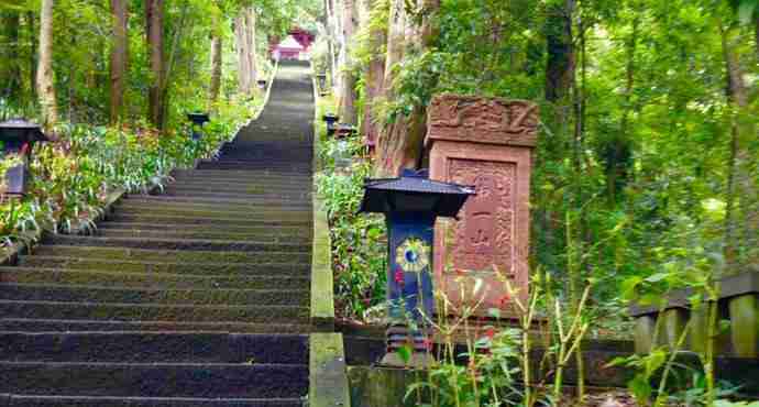 鹤鸣山山洞门票