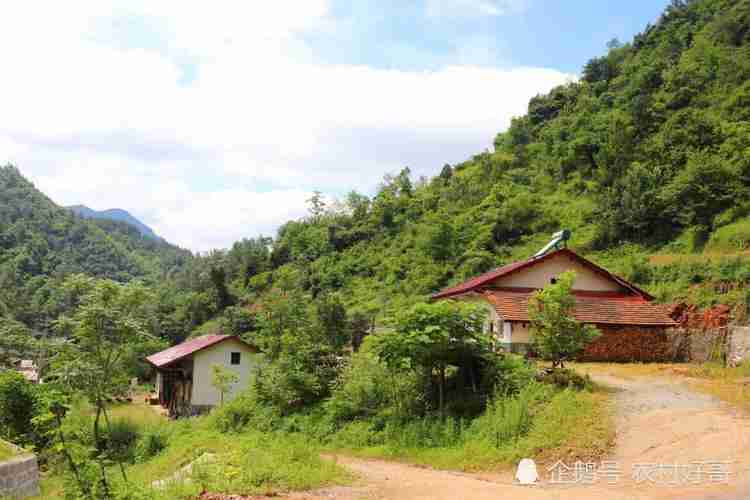 秦岭深山一个适合隐居的仙境城市