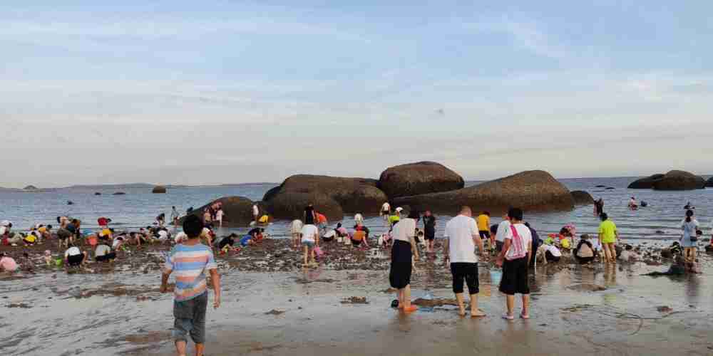 厦门岛内赶海地方推荐