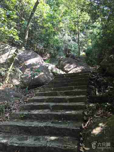 大岭山森林公园爬山要多久