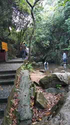 大岭山森林公园爬山要多久