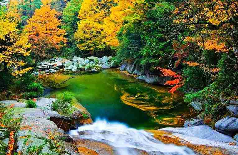 黄柏塬和太白山景区哪个好