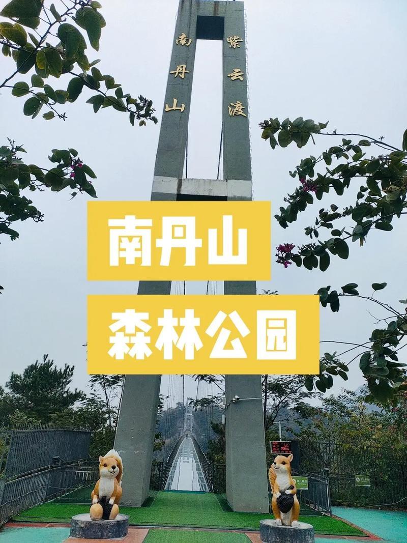 佛山南湾森林公园属哪区