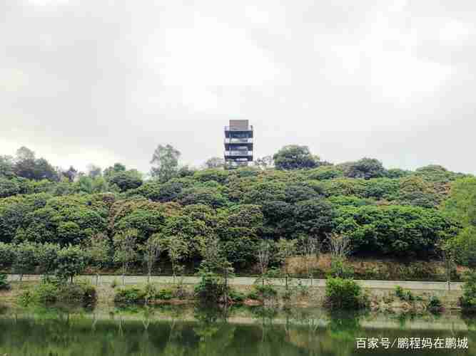 深圳龙岗坂田什么地方好玩啊