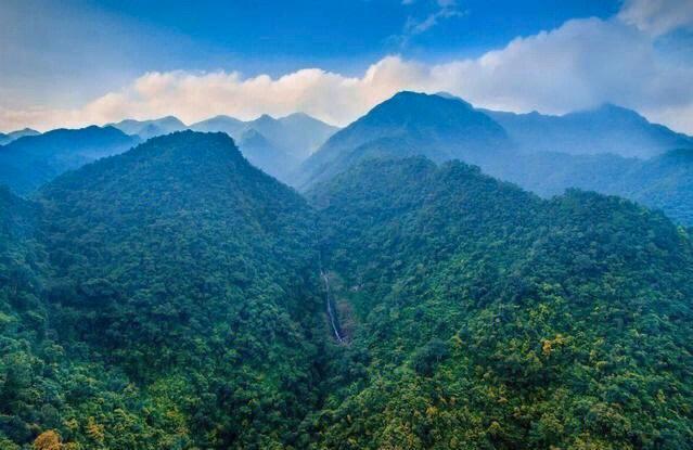 十万大山森林景点介绍