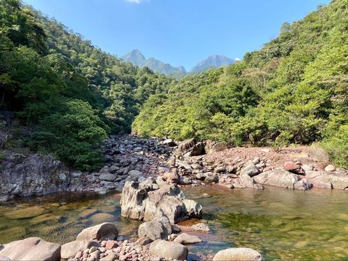 十万大山森林景点介绍