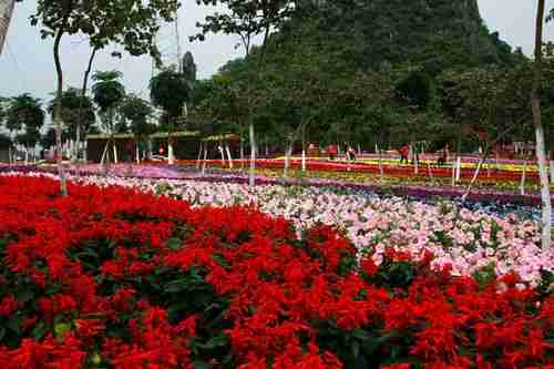 南宁花花世界景区