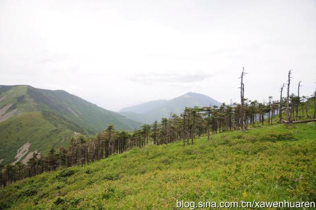 行走在秦岭的路上（行走在秦岭大梁上）(9)