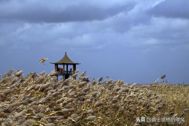 五月在大连看荧光海最佳时间（带你去看红海滩）(15)