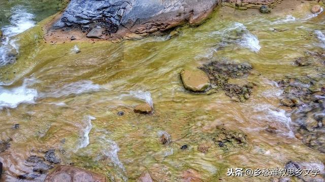 乡情散文故乡印象（乡情散文故乡的风景）(2)