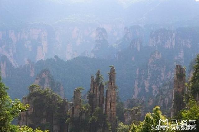 张家界凤凰古城4天3晚旅游攻略（闺蜜同行的张家界森林公园）(21)