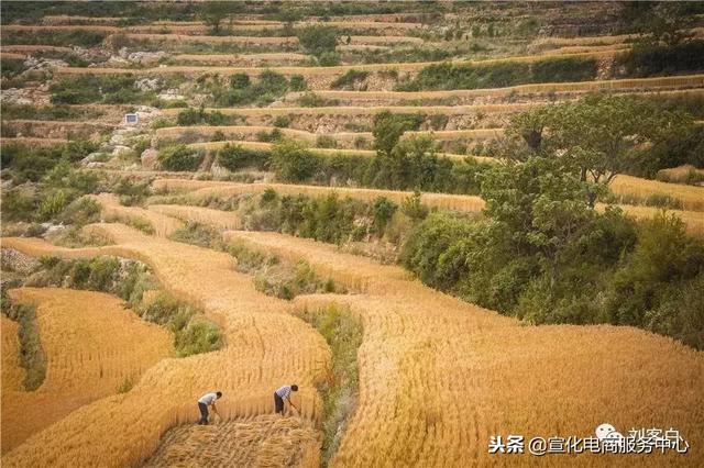 登封最漂亮的乡（登封市17个乡镇人口最多）(56)