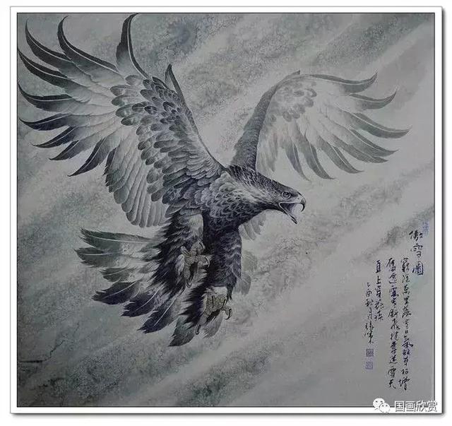 鹰姿百态国画鹰欣赏（鹰姿百态国画鹰欣赏）(47)