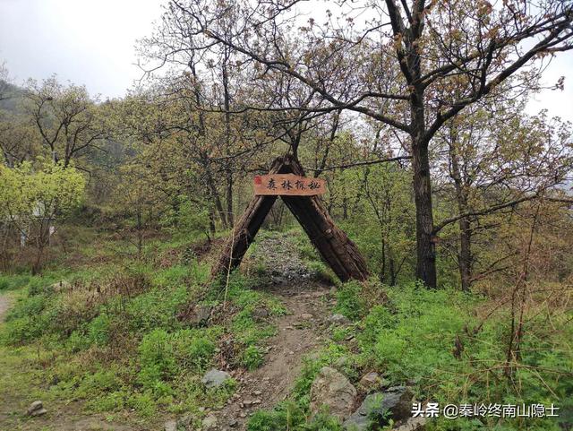 秦岭牛背梁详细旅游攻略（西安自驾秦岭牛背梁终南山寨）(10)