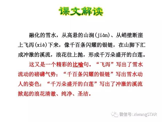 四年级下册语文七月的天山练习册（人教版四年级语文下册第一单元4.）(15)