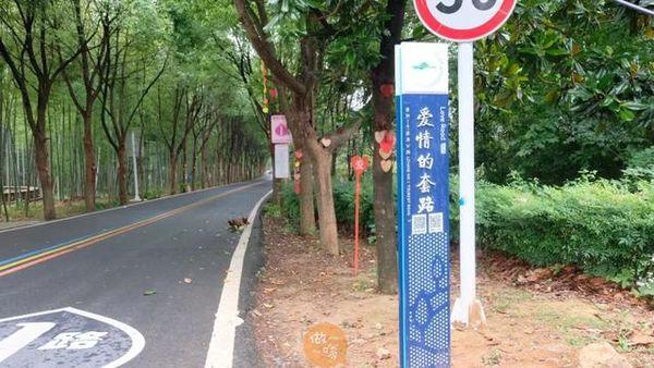 溧阳1号公路哪一段最美呢（溧阳1号公路绝美风景大道）(18)