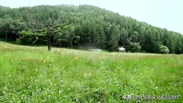 北京黄花城水长城雨后现瀑布奇景（看瀑布奇观观长城壮美）(1)