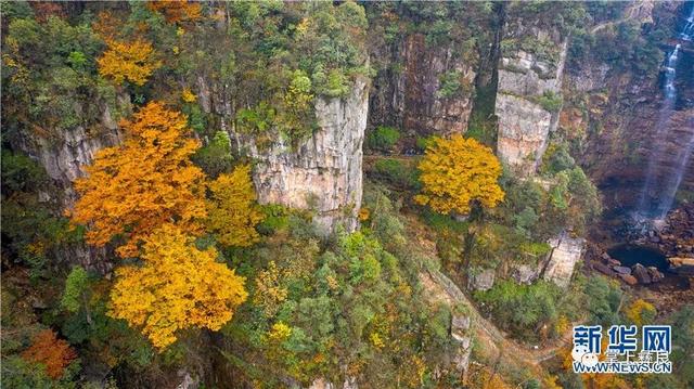 小草坝旅游景点图（鸟瞰秘境小草坝）(7)