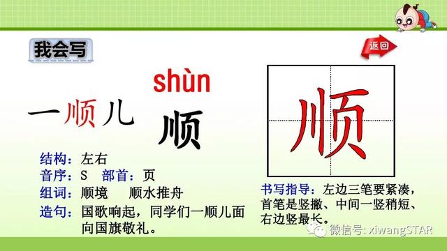 四年级语文上册爬山虎的脚知识点（部编版四年级语文上册第三单元10.爬山虎的脚知识点及练习）(17)