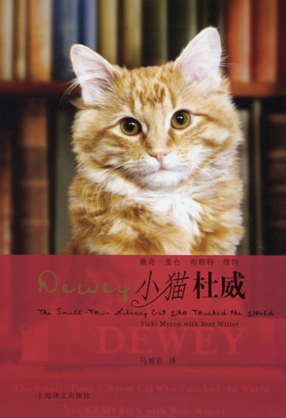 这是一只有故事的猫图集 馆员写猫图书馆之四大名猫(1)