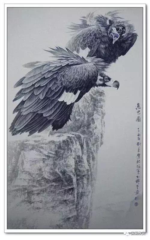 鹰姿百态国画鹰欣赏（鹰姿百态国画鹰欣赏）(45)