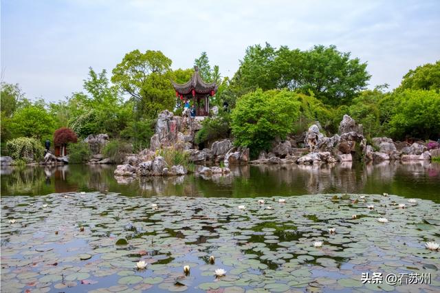 高考毕业旅游看海推荐（中高考考生可免费游吴中这些地方）(14)