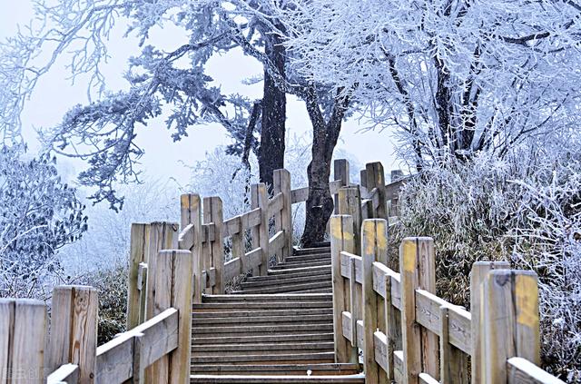 西岭雪山旅游后去哪里旅游方便（周边还可以去哪里呢）(1)